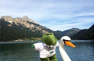 Roewidil auf Reisen