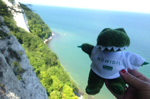Roewidil auf Reisen